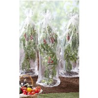 Housse De Croissance Pour Tomate