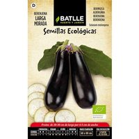 Graines Bio D'aubergine Pourpre Longue