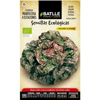 Graines Bio De Laitue Des Quatre Saisons