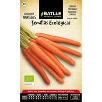 Graines Bio De Carotte Nantaise 5