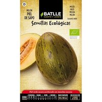 Graines Bio De Melon Peau De Crapaud