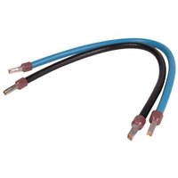 DEBFLEX 2 Cordons de repiquage 30 cm 10 mm² avec embout