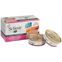 Boîtes Pâtée Au Poulet Avec Jambon En Gelée Pour Chat - Schesir - 6x50g