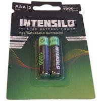 INTENSILO 2x Piles rechargeables Ni-MH 1000mAh (1.2V) pour AEG Eole 1425, 1800B, 1825 comme AAA, Micro, R3, HR03.