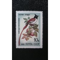 Timbre Russie Yt 4839 Moucherolle Du Paradis Asiatique (Terpsiphone Paradisi) 1981