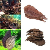 Feuille D'olive D'amande Indienne 20 Pièces Feuille D'olive Pour Aquarium Eau Pour Équilibrer Ph Acidité Feuilles Naturelles Arbre D'amande Offre