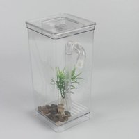 Bon66 Réservoir De Poisson Rouge De Bureau Kit D'amusement Écologique Réservoir De Poisson Fournitures Pour Animaux Aquatiques Herbe Décor À La