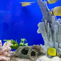 1pc Résine Creux Simulation Arbre Aménagement Paysager Décor Rocaille Arbre Tête Cache Grotte Aquarium Reptile Habitat Élevage Maison Racine