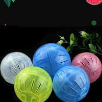 Balle De Sport De Plein Air En Plastique, Petit Animal De Compagnie, Rat, Rongeur, Souris, Jogging, Hamster, Gerbille, Jouets D'exercice