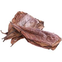 20 Pièces Indien Amandier Feuille D'olivier Pour Aquarium Eau Pour Équilibrer Ph Acidité Feuilles Naturelles Amandier