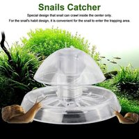 Xue Piège À Escargot Receveur Aquarium Poisson Plante Réservoir En Plastique Transparent Ravageur Attraper Boîte Sangsue Environnement Plantes