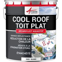 Cool roof toit plat terrasse réfléchissante Blanc 15 kg