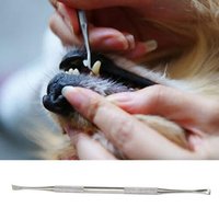 Détartreur De Grattoir De Décapant De Pierre De Tartre D'animal Familier D'acier Inoxydable De Double-Tête Pour L'outil Propre De Soins De Santé