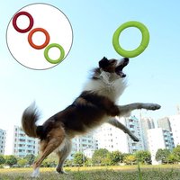 Drôle Flottant Mordant Résistance Chien De Compagnie Chiot Volant Anneau Formation Aller-Retour Interactif Jouet Pour Jardin Piscine Activités De