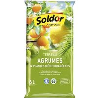 Algoflash - Terreau Agrumes Et Plantes Méditerranéennes 6 L