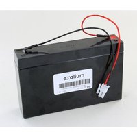 Batterie Plomb 6 V 7Ah OVA51025E pour BAES Guardian OVA