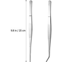 Pincettes Droites Et Incurvées En Acier Inoxydable, 2 Pièces, Pinces D'alimentation Pour Reptiles, Serpent, Lézards, Araignée (Argent)