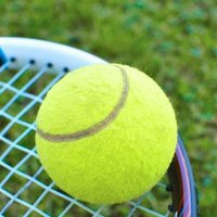 Balles De Tennis Jaunes, Tournoi De Sport En Plein Air Amusant, Grillon De Plage Pour Chien, Pratique De Tennis, Durable À Utiliser