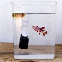 Mini Filtre À Eau Pneumatique Silencieux, Pompe À Oxygène Pour Aquarium