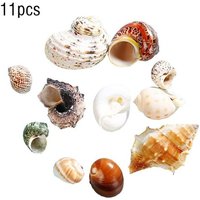 Coquille De Conque Naturelle, Coquille De Conque, Riz, Escargot, Hermès, Crabe, Aquarium, Poissons, Coquillages, Réservoir, Cadeau De Remplacement,
