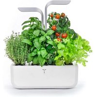 Potager D'intérieur Smart Blanc