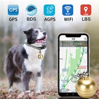 Mini traceur GPS Anti-perte pour enfants, localisateur de balle, collier de positionnement intelligent étanche pour animaux de compagnie, suivi Wifi