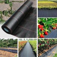 Tapis Barrière Contre Les Mauvaises Herbes En Tissu Agricole Épaississant, Paillis Pp Plus Épais, Tissu Anti-Mauvaises Herbes Pour Vergers Jardin
