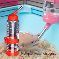 Fontaine À Eau Automatique En Acier Inoxydable Pour Animaux Domestiques, 250ml, Accessoires D'alimentation, Abreuvoir Lapin Hamster