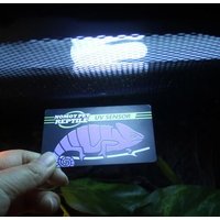 Cartes De Test Uvb Pour La Détection Des Reptiles, 10 Secondes Pour Tester La Durée De Vie, Tests Efficaces, Outils D'analyse De Mesure, Produits