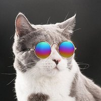 Lunettes De Soleil Pour Chien, Chatlunettes De Soleil Pour Chien, Chat,