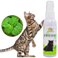 Jouet D'entraînement Pour Animaux De Compagnie, Herbe-Aux-Chats, Menthe Naturelle Saine, Drôle, Spray À Gratter