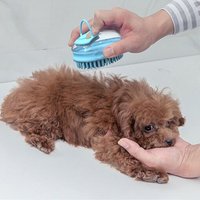 Brosse De Massage De Bain En Silicone Pour Chien, Peigne Pour Animaux De Compagnie, Douche Pour Chat, Outils De Nettoyage De Toilettage Pour La