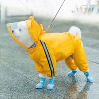 Manteau Imperméable À Capuche Pour Chien, Vêtement Transparent, Imperméable, Chiot, Chihuahua