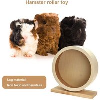 Roue De Sport Pour Animal De Compagnie, Roue Ronde En Bois Naturel, Disque De Course Silencieux, Accessoires Pour Animaux De Compagnie, Hamster,