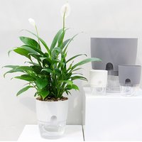 Jardinière Ronde Hydroponique À 2 Couches, Arrosage Automatique, Fait À La Main, À Absorption D'eau Automatique