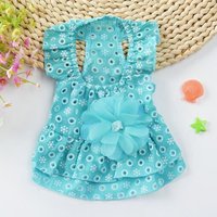 Robe De Princesse En Dentelle Pour Chien, Vêtements De Printemps Pour Animaux De Compagnie, Jupe Pour Petit Chien, Section Gaze, Fine, Romantique,