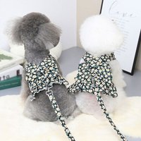 Robe D'été Pour Petits Chiens, Harnais Avec Sangle De Poitrine, Corde De Traction, Vêtements Pour Chats, Gilet Princesse Tutu