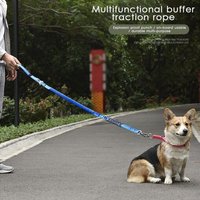 Laisse En Nylon Pour Chien, Corde De Traction, Entraînement À La Marche Et À La Course, Pour Petits Et Moyens Chiens, Ceinture De Siège De Voiture,