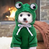 Veste D'hiver En Polyester Pour Chien Et Chat, Manteau Chaud, Costume Amusant Pour Halloween, Petit Chien, Grenouille, Vert