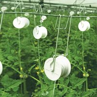 Crochets De Support Pour Tomates, Rouleau En Treillis Avec Ficelle De 15m, Outil De Jardinage En Serre, 6 Pièces, Livraison Directe