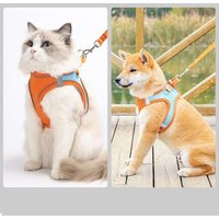 Harnais Réfléchissant Pour Chaton Et Chiot, Sangle De Poitrine En Maille Respirante, Type De Gilet Pour Animaux De Compagnie, Corde De Traction, Chiot