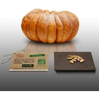 10 Graines Bio À Semer - Le Grenier D'abondance - Courge Musquee De Provence - Certifié Ab - Curcurbita Maxima