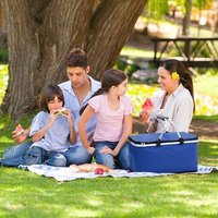 Panier D'isolation Thermique Pliable, Grande Capacité, Portable, Étanche, Sac De Rangement Pour Shopping, Camping, Plage, École, Supermarché