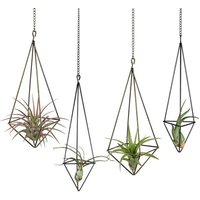 Support Pour Plantes À Air Suspendu, Lot De 4, 2 Tailles, Support Métallique Pour Plantes À Air, Présentoir Pour Jardinière Himmeli Avec Chaînes