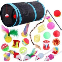 Jouets Interactifs Pour Chats D'intérieur, 22 Pièces, Tunnel, Souris, Chaton, Plumes, Baguette, Printemps