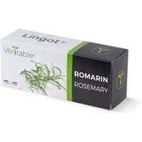 Lingot Romarin Pour Potager Véritable