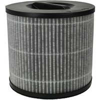 vhbw Filtre HEPA compatible avec Steba LR12 purificateur d'air - Filtre de rechange avec charbon actif intégré