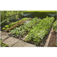 Kit d'initiation Micro-Drip System pour potagers et massifs