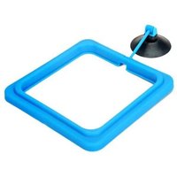 Anneau D'alimentation Flottant En Plastique Pour Poissons, Cercle De Flottabilité Pour Aquarium, 1 Pièce, 2 Couleurs, Carré Ou Rond