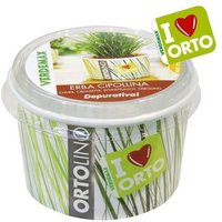 Kit Ortolino - No Name - Erba Cipollina - Vasetto Pp Ø 11cm X H 7cm - Terriccio In Fibra Di Cocco - Semi